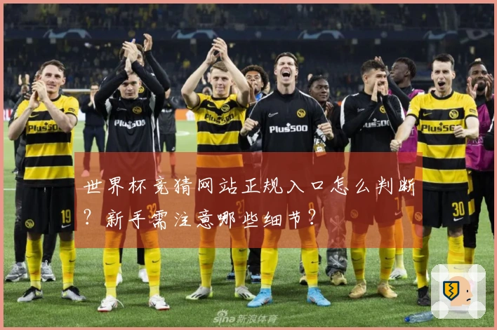世界杯竞猜网站正规入口怎么判断？新手需注意哪些细节？