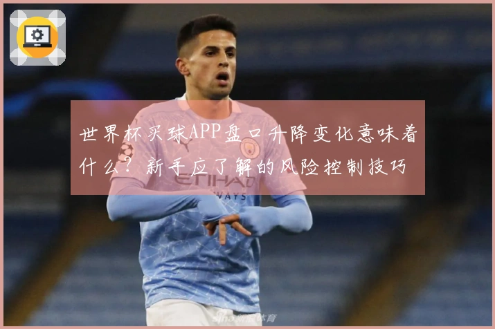 世界杯买球APP盘口升降变化意味着什么？新手应了解的风险控制技巧