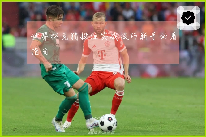 世界杯竞猜投注实战技巧新手必看指南