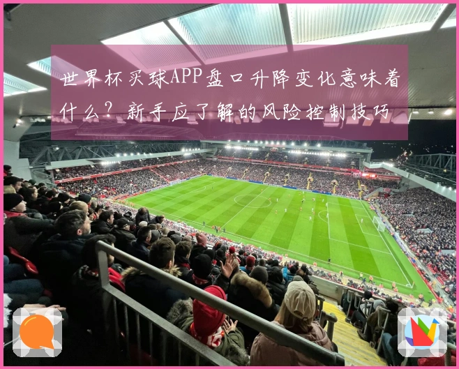 世界杯买球APP盘口升降变化意味着什么？新手应了解的风险控制技巧