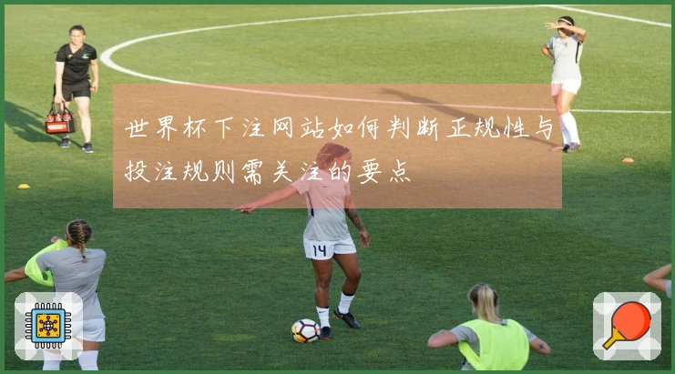 世界杯下注网站如何判断正规性与投注规则需关注的要点