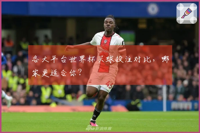 各大平台世界杯买球投注对比，哪家更适合你？